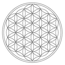 De Flower of life symboliseert eenheid en verbondenheid